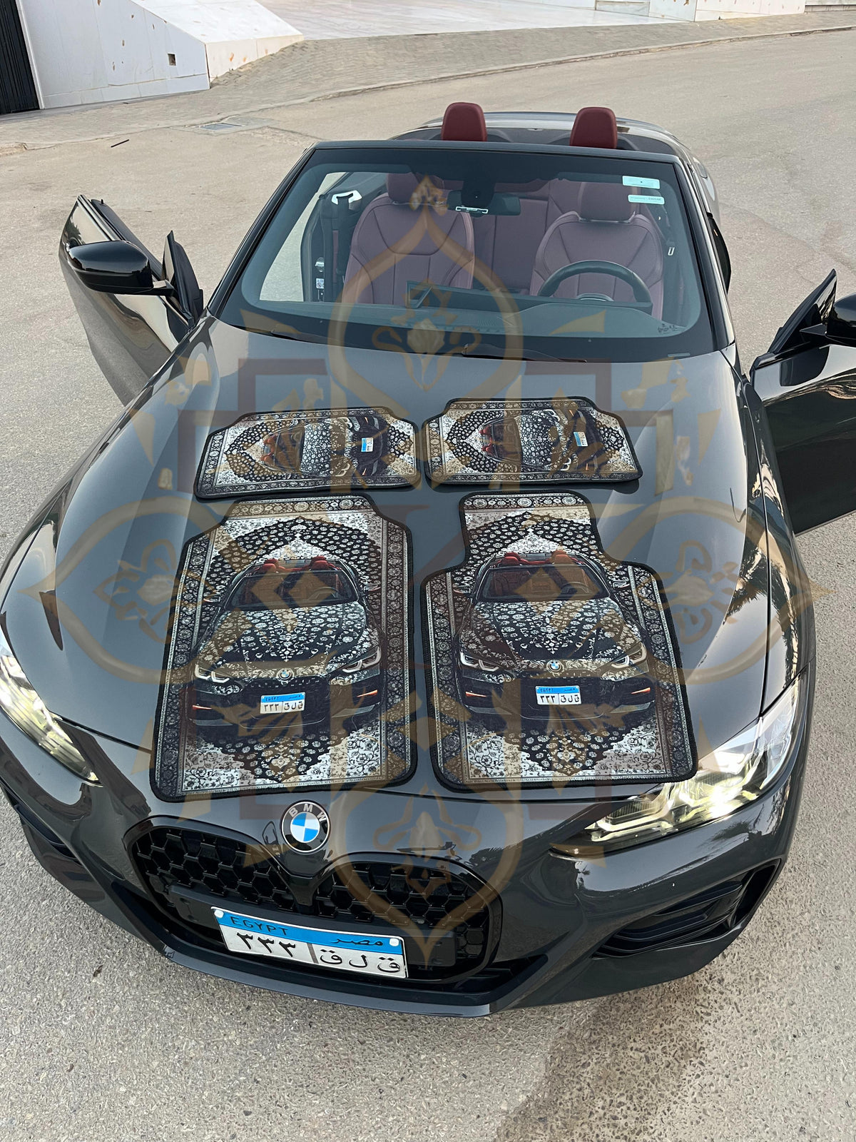 Custom Car Rugs